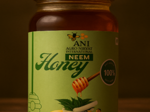 Organic Neem Honey – Ayurvedic Powerhouse from Indian Forests